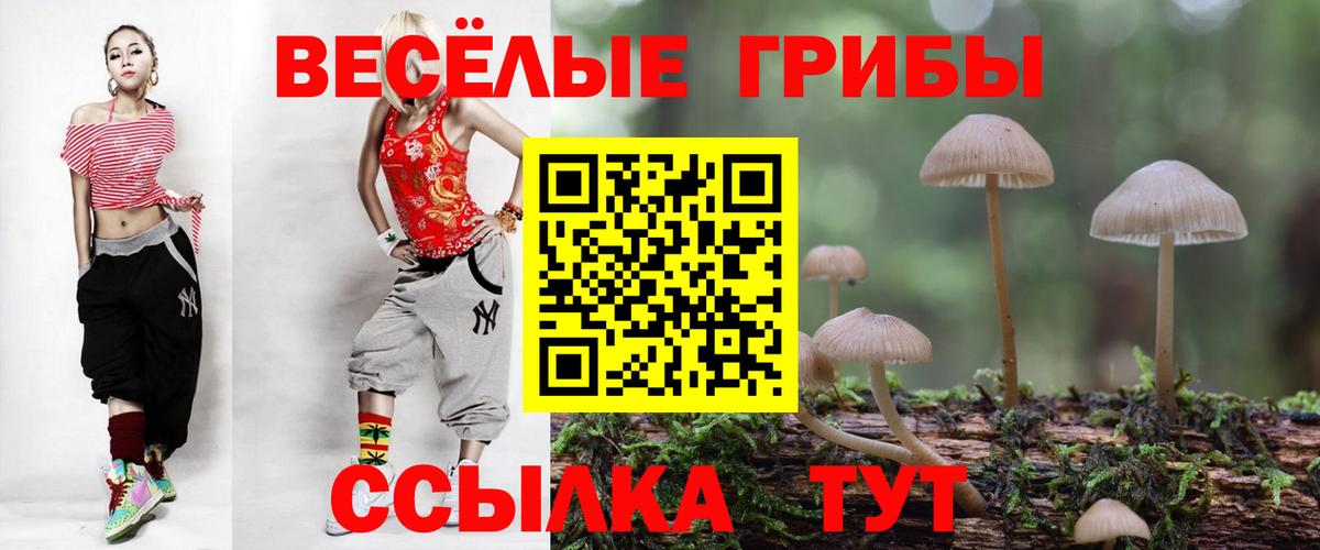 Галлюциногенные грибы ЛСД  Вход с VPN  Сочи 