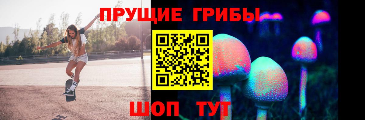 Псилоцибиновые грибы мицелий Сочи